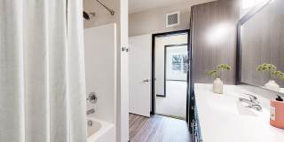 The Shoreham On France Gallery 37