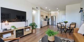 The Willows Gallery 43