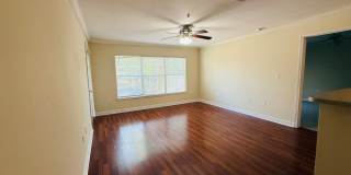 3 Bedroom, 2 Bath with Garage For Rent in New Tampa! Gallery 11