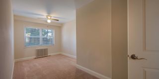 Springfield Gardens Gallery 3