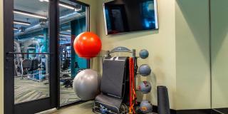 Jade at North Hyde Park Gallery 9