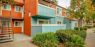Peppertree Apartments Gallery 26
