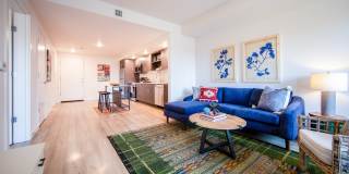 Scouter's Mountain Gallery 3