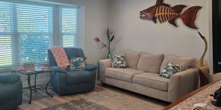 RENTED JAN, FEB, MARCH 2026 Gallery 17