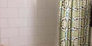 Beautiful 1 Bed Apartment in North Center/ Ravenswood Area Available September 1st Gallery 11