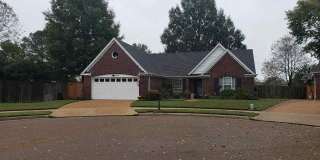 245 Poplar Bluff Cove Gallery 1