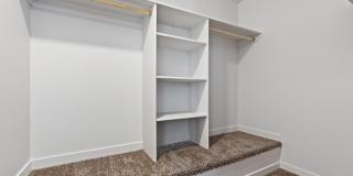 Amazon Falls Gallery 13