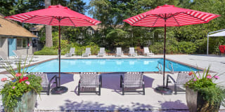 Forest Hill Village Gallery 1