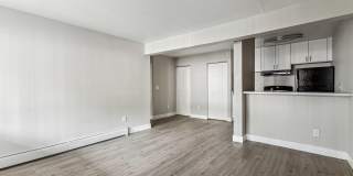 Park at Palmer Gallery 164