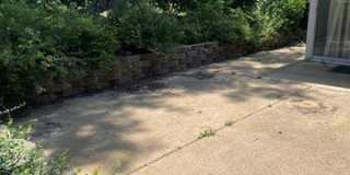 253 Turf Gallery 13