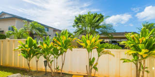 Suncrest in Ewa Gentry: 1-bed, 1-bath, 2-parking - PET Friendly ! Gallery 18