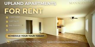 Springfield Apartments - 1394 Gallery 1