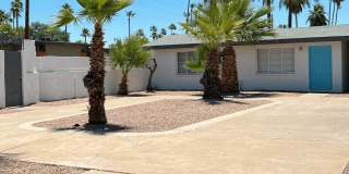 Palm Square Gallery 6