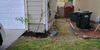 FREDRICKSON AREA 3 Bedroom, 2.5 Bathroom Puyallup Home with Den SILVER POINTE COMMUNITY Gallery 45