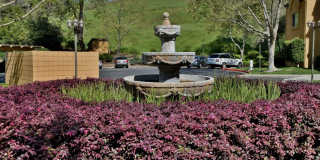 440 Bollinger Canyon Ln. Gallery 22