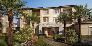 Mosaic Palms Gallery 1