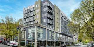 Belltown Gem newly remodeled flex 1 bdrm/studio/PARKING INCLUDED Belltown Gem newly remodeled flex 1 bdrm/studio/PARKING INCLUDED Gallery 1