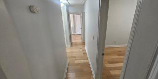 Cute Home in Plaza-Midwood/Noda Area Gallery 14