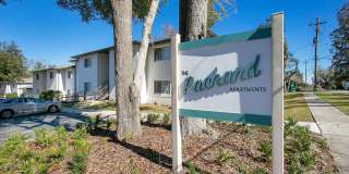 The Packard Apartments Gallery 1