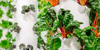 Liberty Towers Gallery 37