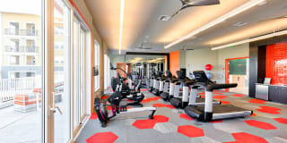 Blu Harbor by Windsor Gallery 66