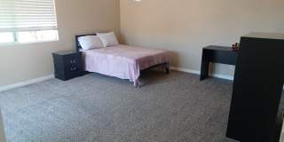 5938 Riley Street Gallery 7
