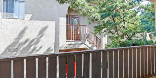 2921 Arizona Apartments Gallery 10