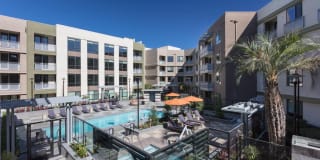 The Standard The Standard Gallery 36