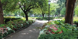 Modera 44 Gallery 46