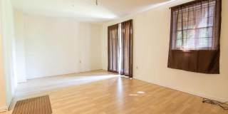 127 SWARTHMORE Avenue Gallery 15