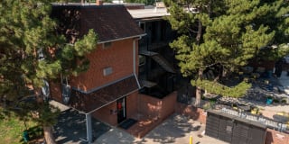 805 Dahlia Gallery 9