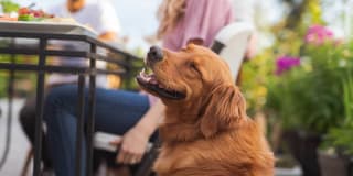 1200 East West Gallery 21