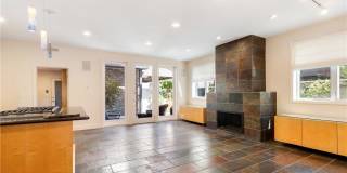 319 Orchid Gallery 8