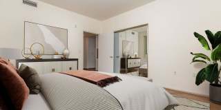 Vineyards Gallery 193