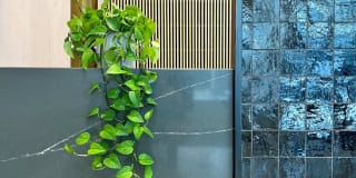 The Mark Kansas City Gallery 40