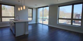 Main2525 Gallery 7