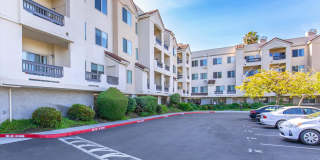 Paloma Vista Apartment Homes Paloma Vista Apartment Homes Gallery 20