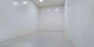 Hampton Courts Gallery 22