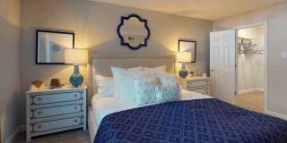 The Lily The Lily Gallery 7