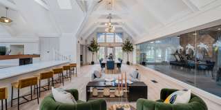 Steeplechase Gallery 14