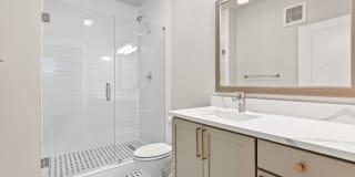 The Standard Gallery 18