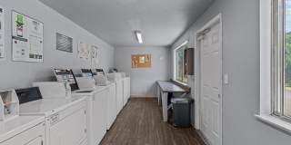 Sugar Pine Gallery 24