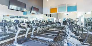 Butternut Ridge Gallery 5