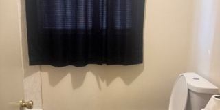 284 Seymour Ave Gallery 13