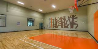 The Strand Gallery 16