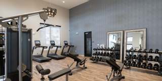 The Alary Gallery 27