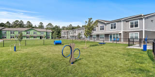 Authentix Lakeville Gallery 24