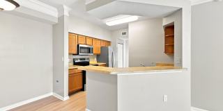 9825 Baywinds Drive Gallery 19