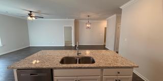 538 Wolf Trace Gallery 10