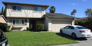 404 Coot Lane Gallery 1